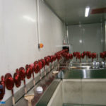 Mouse Automatic Spray Coating Line